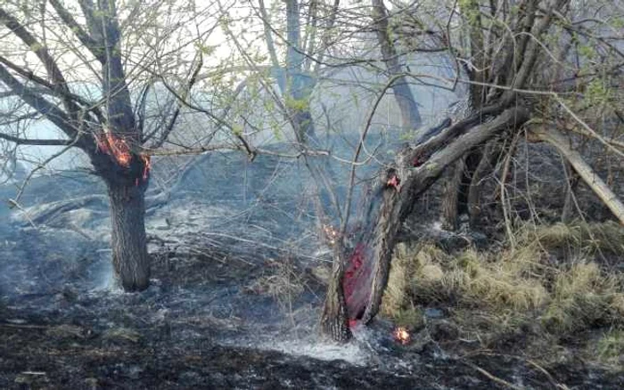 incendiu