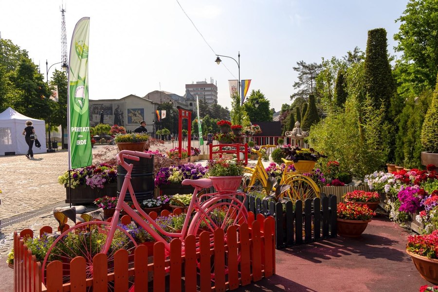 Sărbătoarea Florilor la Iași. Centrul oraşului, colorat de expoziția cu vânzare FOTO VIDEO