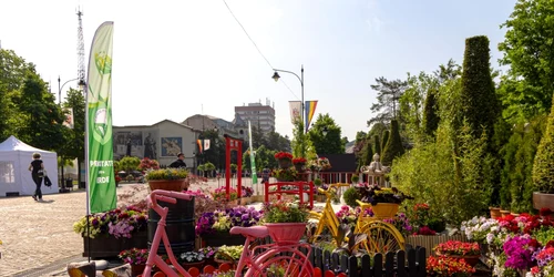 Expoziţie flori Iaşi SURSĂ Facebook Primăria Municipiului Iaşi