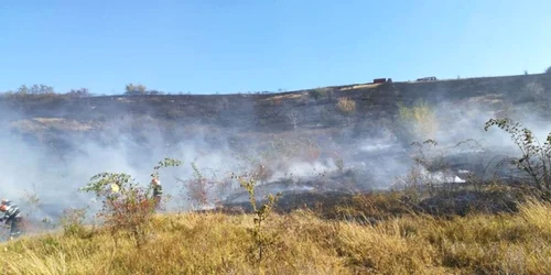 Incendiu de vegetaţie lângă Iaşi   