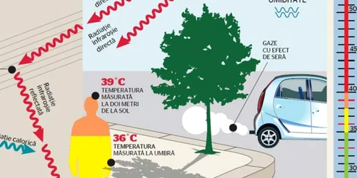 Meteorologii prognozează în continuare zile fierbinţi, cu temperaturi de peste 35 de grade la umbră.