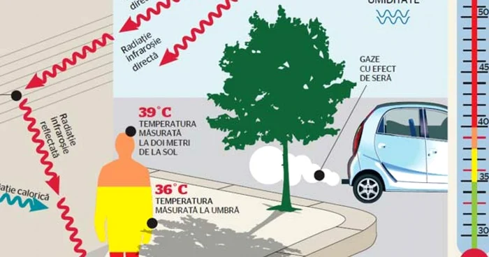 Meteorologii prognozează în continuare zile fierbinţi, cu temperaturi de peste 35 de grade la umbră.