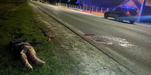 inscenare accident foto isu vs
