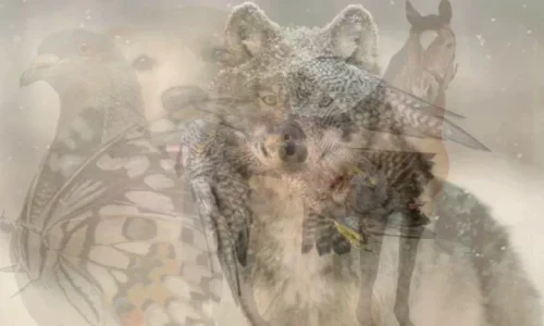 how you approach your life jpg