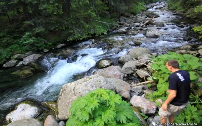 Proiectul MHC-ului de pe Râul Alb a dat naştere unoc controverse. FOTO: Daniel Guţă. ARHIVĂ.