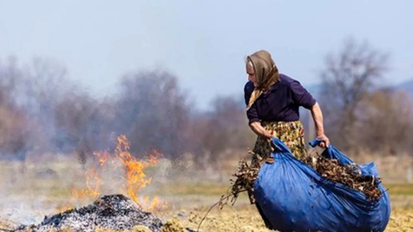
    Deşeurile menajere din bucătărie şi curte pot fi transformate într-un compost bogat în nutrienţiFoto: glissandogardencenter.ro  
