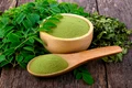 moringa palnta istock jpg
