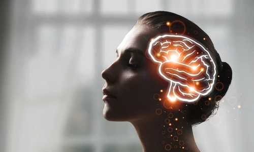 shutterstock 2525029183 jpg