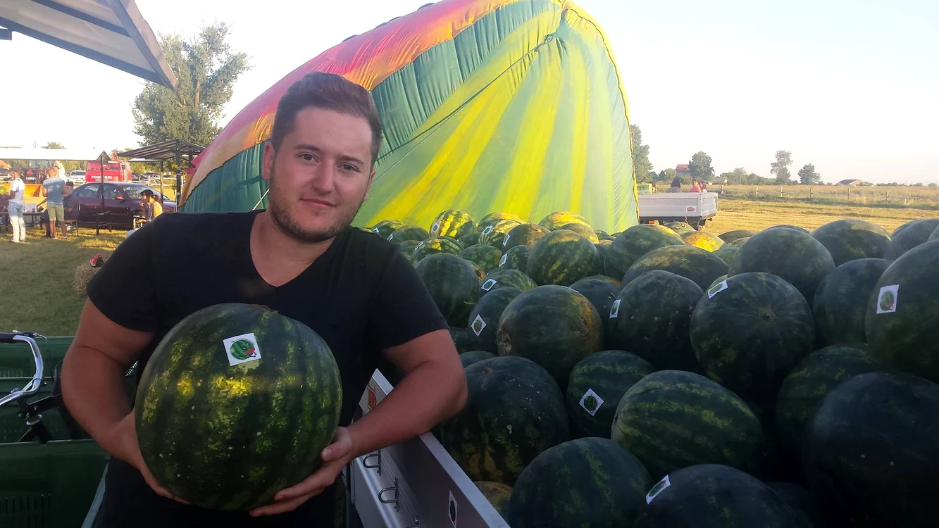 
    Alexandru Lezeu bagă mâna-n foc pentru calitatea pepenilor cultivaţi de familia saFoto: "Adevărul"  