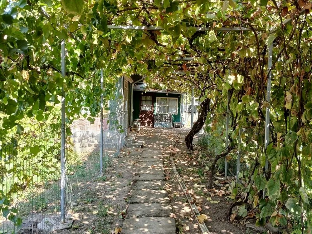 Curtea unei case de vânzare din satul Micsunestii Mari / foto: Anunțul.ro