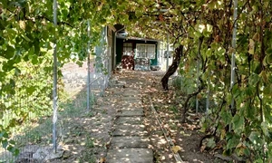 casa jpg