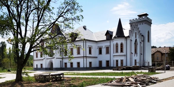 Castelul Nopcsa Foto Daniel Guță (8) jpg