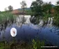 Lebedele de pe malul Streiului Foto Daniel Guță (8) jpg