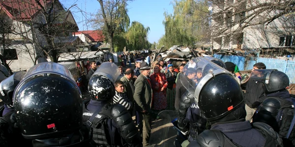 calarasi sarulesti