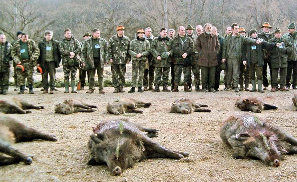 Ianuarie 2005. Invitaţii miliardarului au făcut ravagii printre mistreţi