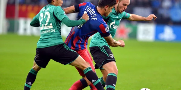 schalke - steaua foto razvan pasarica