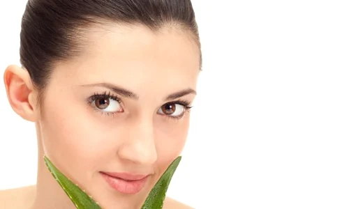 aloe vera jpeg
