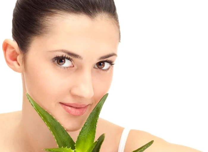 Dacă te-ai zgâriat sau tăiat sângerarea se oprește imediat cu aloe vera. www.clicksanatate.ro