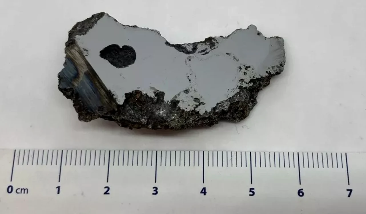 Bucată din meteoritul care conține cele două minerale noi FOTO Universitatea din Alberta