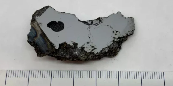 Bucata de meteorit care conține cele două minerale noi FOTO Colecția de meteoriți a Universității din Alberta