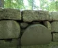 Saemizegetusa Regia  Foto Daniel Guță ADEVĂRUL (5) JPG