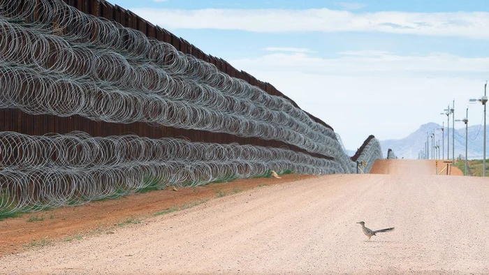 Imaginea care surprinde o pasăre în fața zidului lui Donald Trump de la granița cu Mexic a impresionat o lume întreagăFoto: ALEJANDRO PRIETO / BIRD PHOTOGRAPHER OF THE YEAR