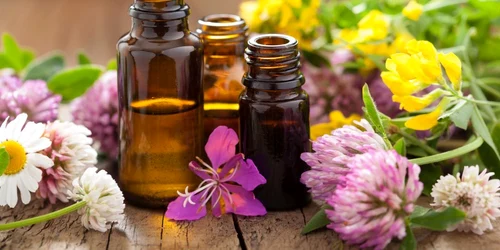 1 uleiuri esentiale 1 jpg jpeg