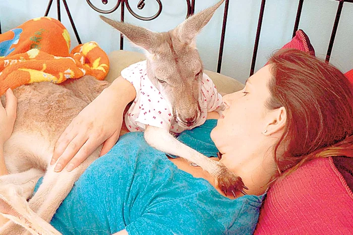 “A fost odată un prinţ...” (Fotografii: Photoland/Caters)