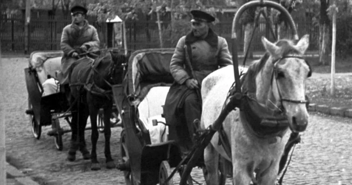 Muscali pe străzile Galaţiului FOTO Arhiva Bibliotecii VA Urechia