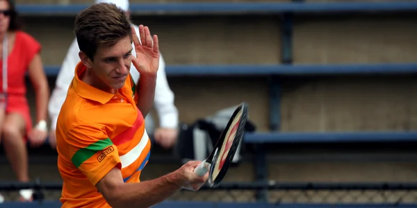 Filip Peliwo (CAN) 2012 US Open jpg