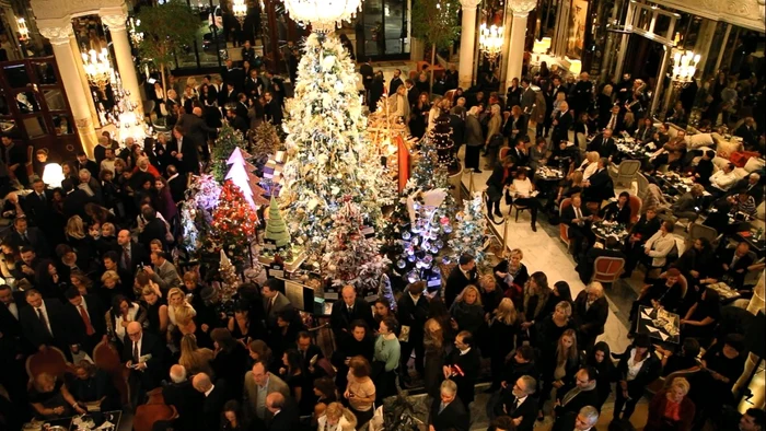 alexandru ciucu licitatie 1 jpeg