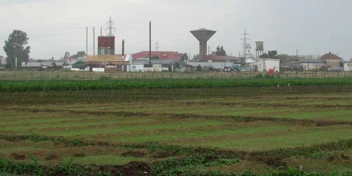 Foştii chiriaşi ai terenului vor merge în audienţă la primar