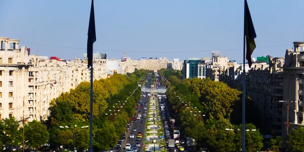 Piata Constitutiei FOTO Shutterstock jpg