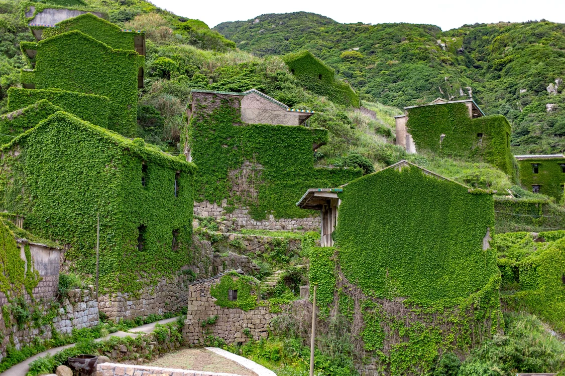 Clorofila da culoarea verde, specifică plantelor