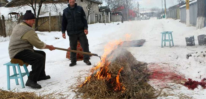 Şase cazuri noi de trichineloză la Cluj
