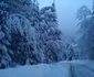Zăpadă pe DN 7 A Foto FB Fery e de vină