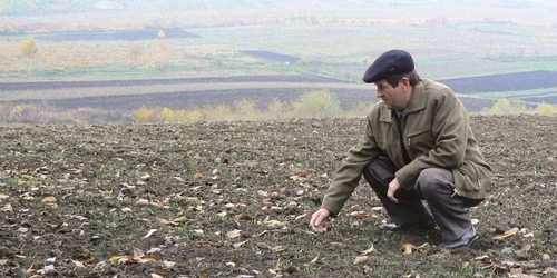 Specialiștii le sugerează autorităților să-i ajute de urgență pe țărani