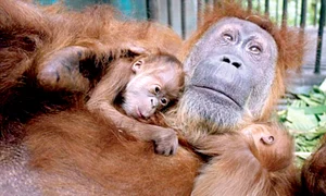 CLIIMA20120902 0045 1 jpeg