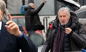 cub ilie nastase png