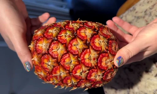ananas rubyglow jpg