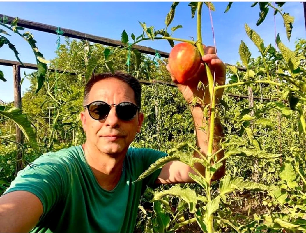 Dan Negru adoră roșiile din curtea casei părintești Foto: Instagram