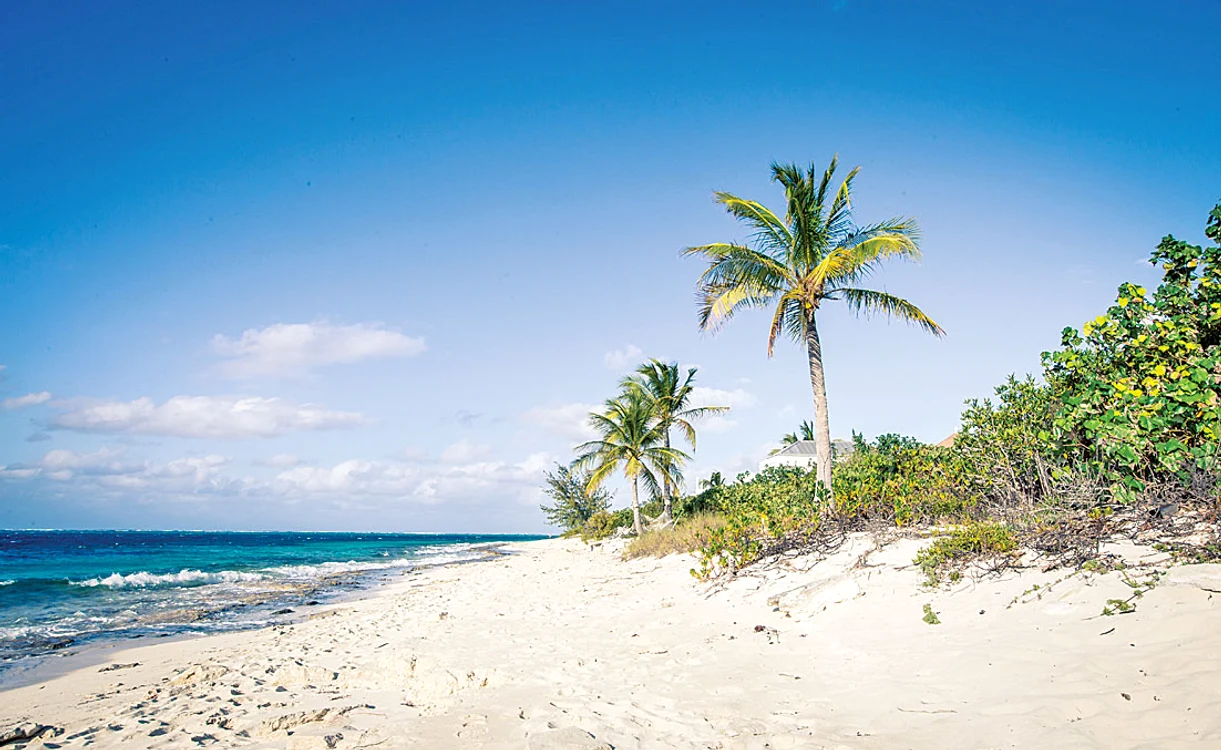 Plaja Grace Bay, Providenciales, de pe insulele Turks and Caicos