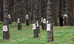 AFP  20071027  Par1588499  v1001  HighRes jpeg