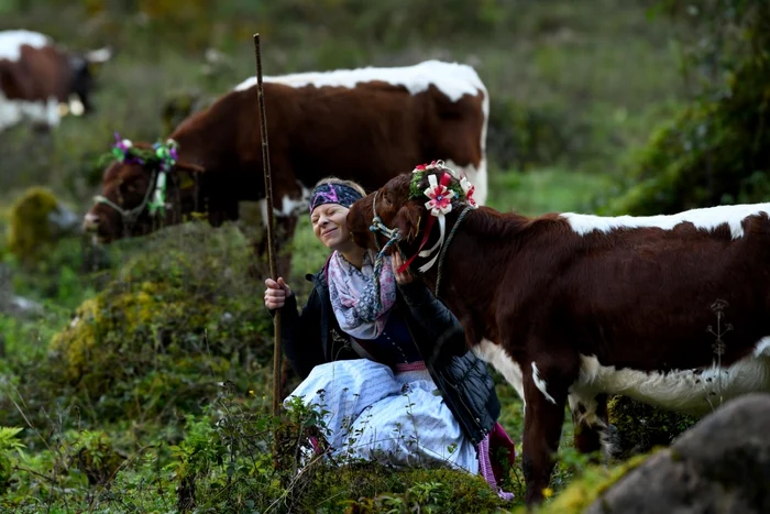 FOTO Andreas Gebert/Getty Images