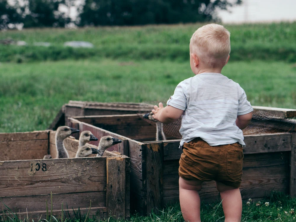 
    foto: unsplash.com  