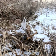 Drona FOTO Telegram org: Poliția Republicii Moldova jpeg