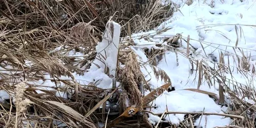 Drona FOTO Telegram org: Poliția Republicii Moldova jpeg