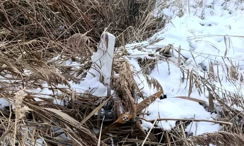 Drona FOTO Telegram org: Poliția Republicii Moldova jpeg