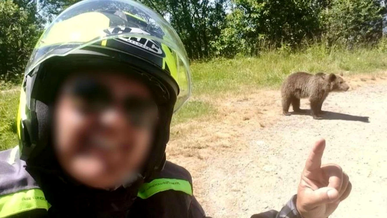 italianul mort pe transfagarasan s a intors sa hraneasca ursoaica agresiva care l a ucis cu o zi in urma filmase alti doi ursi in zona 986438 jpeg