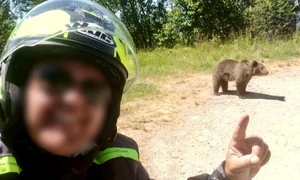 italianul mort pe transfagarasan s a intors sa hraneasca ursoaica agresiva care l a ucis cu o zi in urma filmase alti doi ursi in zona 986438 jpeg